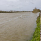 crue vienne 16 02 26 fabb ct7a0529