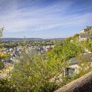 coteaux 10 25 fabb ct7a0006