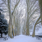 2 neige chinon 01 26 fabb ct7a4950