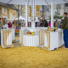 flavie en france 10 25 fabb ct7a3763