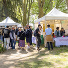 03 vignerons dans la ville 04 26 fabb ct7a1461